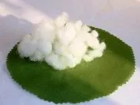 Мімоза своїми руками