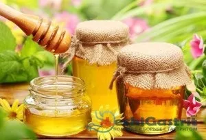 Мед і алое при гастриті, як приготувати і використовувати (Тривалість курсу місяць) Мед і алое при гастриті, як приготувати і використовувати