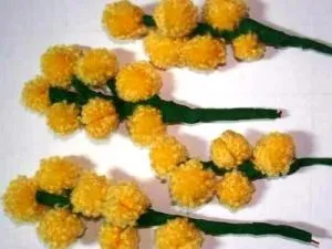 Мімоза своїми руками