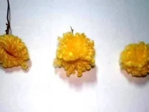 Мімоза своїми руками