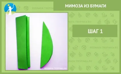Мімоза з паперу своїми руками майстер-клас для дітей