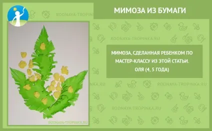 Мімоза з паперу своїми руками майстер-клас для дітей