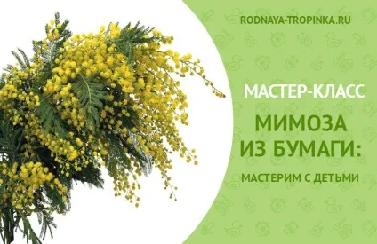Мімоза з паперу своїми руками майстер-клас для дітей