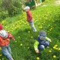Спостереження в природі навесні (доу) Спостереження в природі навесні