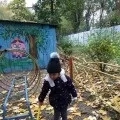 Спостереження за птахами »
