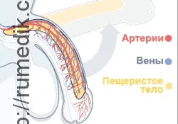 Чи може виникнути залежність або звикання від силденафілу (залежність) Чи може виникнути залежність або звикання від силденафілу