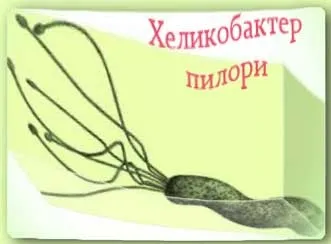 Чи можна заразитися гастритом, народні рецепти здоров'я (гастритом) Чи можна заразитися гастритом, народні рецепти здоров'я