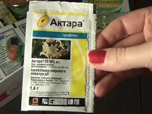 огляд інсектицидів