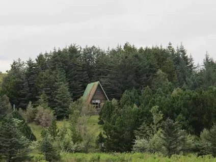 Незвичайні будинки світу серед дикої природи 20 фото