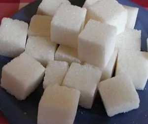 Органічні речовини