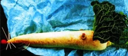 Осінні вироби з овочів (овочів своїми руками) Осінні вироби з овочів