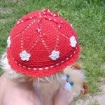 Панамка для хлопчика, в'язання спицями, гачком, уроки в'язання (гачком) Панамка для хлопчика, в'язання спицями, гачком, уроки в'язання