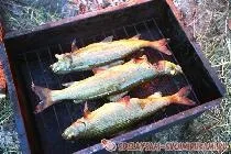 Полювання та риболовля, зроби сам своїми руками (руками) Полювання та риболовля, зроби сам своїми руками