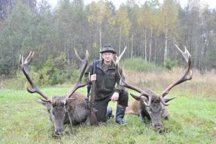 Полювання на оленя благородного з підходу, з собаками, з вишки, з манки і т (полювання) Полювання на оленя благородного з підходу, з собаками, з вишки, з манки і т