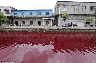 Чому вода по всьому світу стає криваво-червоного кольору (усього) Чому вода по всьому світу стає криваво-червоного кольору