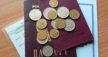 Чому лисіє папуга - сайт пенсіонерів