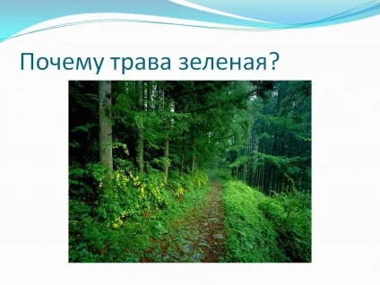 Чому трава зелена - презентація 213474-3 (що) Чому трава зелена - презентація 213474-3
