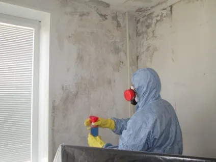 Цвіль під натяжною стелею причини утворення, що робити (стелею) Цвіль під натяжною стелею причини утворення, що робити
