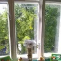 Пропоную виготовлення макета Спаської вежі кремля (для батьків) Пропоную виготовлення макета Спаської вежі кремля