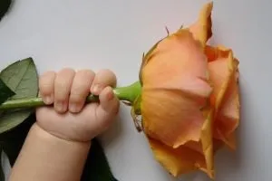 Свято на честь новонародженого урочисті оглядини або baby shower (ігри та конкурси для оглядин) Свято на честь новонародженого урочисті оглядини або baby shower