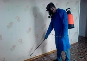 Підвальні блохи в квартирі як позбутися від кусючих паразитів (блохи в квартирі звідки) Підвальні блохи в квартирі як позбутися від кусючих паразитів