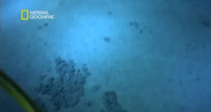 Занурення в Маріанську западину Джеймса Кемерона, фото новини (батискаф Deepsea Challenge) Занурення в Маріанську западину Джеймса Кемерона, фото новини
