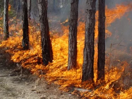 Поняття і класифікація пожеж (великі відстані Именно) Поняття і класифікація пожеж