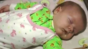 Про кішку махаю і про те як вона врятувала дитині життя (махаю) Про кішку махаю і про те як вона врятувала дитині життя