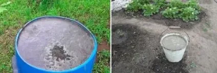 Переваги курячого посліду