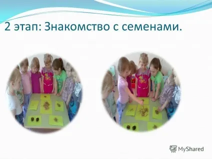 Презентація на тему виростимо квіти для ділянки (Актуальність Діти люблять квіти) Презентація на тему виростимо квіти для ділянки
