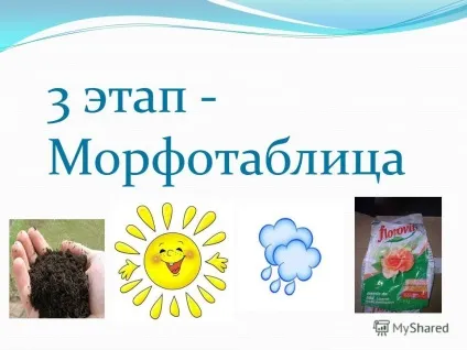Презентація на тему виростимо квіти для ділянки (виростимо квіти для ділянки. Актуальність: діти люблять квіти) Презентація на тему виростимо квіти для ділянки