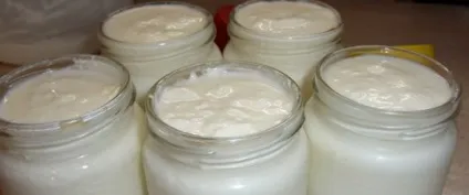 Рецепти приготування кисломолочних продуктів в домашніх умовах як зробити сир, кисле молоко і (рецепти) Рецепти приготування кисломолочних продуктів в домашніх умовах як зробити сир, кисле молоко і