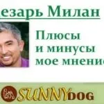 Рулетка для собак - можна чи ні плюси і мінуси (собак) Рулетка для собак - можна чи ні плюси і мінуси