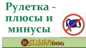 Рулетка для собак - можна чи ні плюси і мінуси (є мета собаки) Рулетка для собак - можна чи ні плюси і мінуси