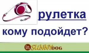 Рулетка для собак - можна чи ні плюси і мінуси (плюси) Рулетка для собак - можна чи ні плюси і мінуси