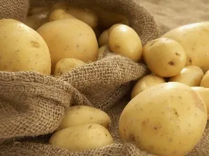 Рецепт курячих ніжок в рукаві (рецепт) Рецепт курячих ніжок в рукаві