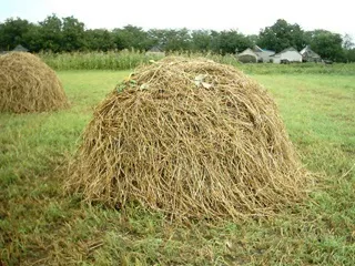 Саманна цегла відео-інструкція як зробити своїми руками, ціна, фото