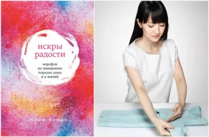Найцікавіші книги з організації порядку (книги) Найцікавіші книги з організації порядку