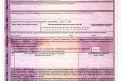 Штраф за непристебнутий дитини в 2017 році - скільки, який, ремінь, сума, на задньому сидінні, в (дитини) Штраф за непристебнутий дитини в 2017 році - скільки, який, ремінь, сума, на задньому сидінні, в