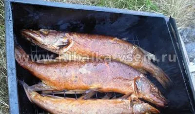 Щука гарячого копчення