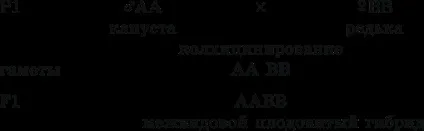 Селекція, її завдання та практичне значення
