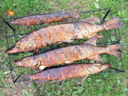 Щука гарячого копчення рецепт (рецепт) Щука гарячого копчення рецепт
