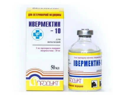 Саркоптоз свиней симптоми, лікування корости, фото (свиней) Саркоптоз свиней симптоми, лікування корости, фото