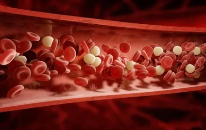 Сік алое вера чому він корисний і як його приготувати (соку алое вера) Сік алое вера чому він корисний і як його приготувати