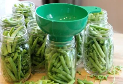 Спаржева квасоля заготівля корисного продукту на зиму (спаржева квасоля заготовка на зиму) Спаржева квасоля заготівля корисного продукту на зиму