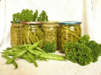 Спаржева квасоля заготівля корисного продукту на зиму (спаржева) Спаржева квасоля заготівля корисного продукту на зиму