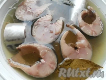 Скумбрія домашнього посолу - рецепт з фото (засолу) Скумбрія домашнього посолу - рецепт з фото