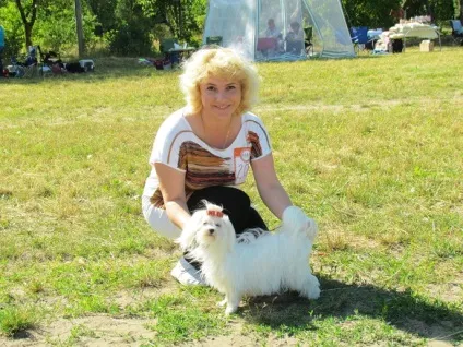собачий свято