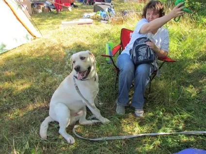 собачий свято