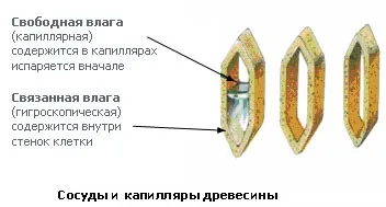 Сушарка для дощок відео-інструкція як зробити своїми руками, особливості конструкції, ціна, фото